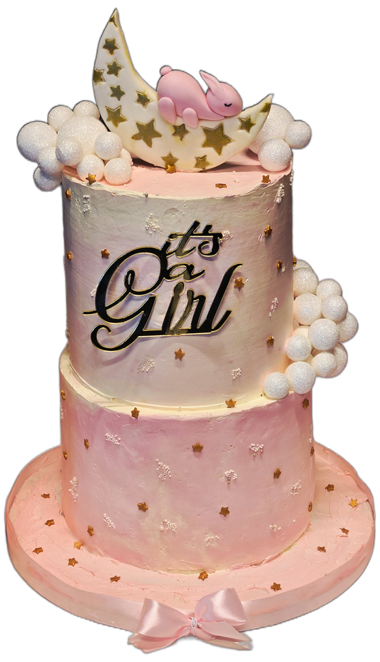 Baby Pink Cake